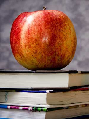 小七手机号在线网页轰炸